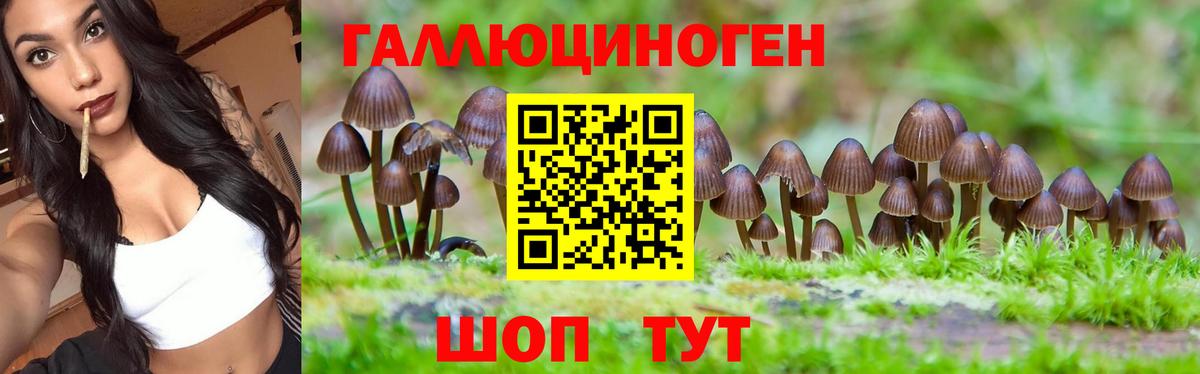 Галлюциногенные грибы GOLDEN TEACHER Ижевск